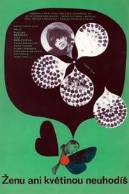 Ženu ani květinou neuhodíš (1967)