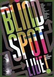 Image Blind Spot Live! 2013