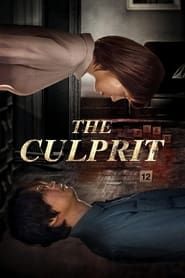 The Culprit series tv