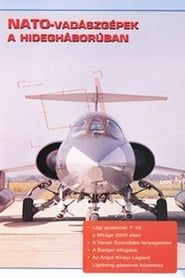 Image Combat in the Air - NATO Cold War Interceptors 1996