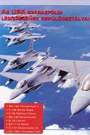 Combat in the Air - US Air Force Combat Wing (1996)
