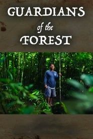 Guardians of the Forest series tv