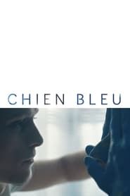 Image Chien bleu