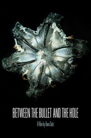 Between the Bullet and the Hole series tv