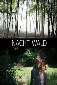 Image Nacht Wald 2019