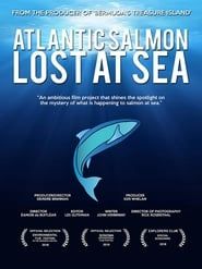 Image Atlantic Salmon: Lost at Sea 2018