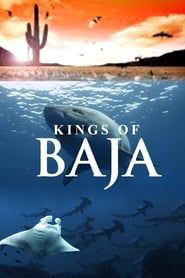 Kings of Baja (2014)