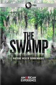 The Swamp series tv