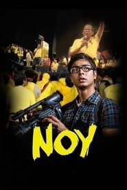 Noy (2010)