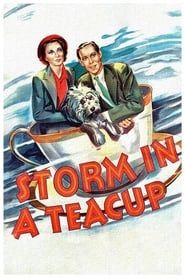 Storm in a Teacup series tv