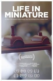 Life in Miniature series tv