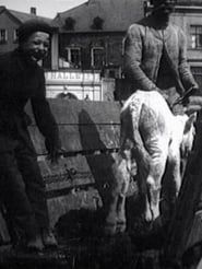 Leben und Treiben auf dem Viehmarkt 1909 streaming