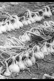 The Life History of the Onion (1943)