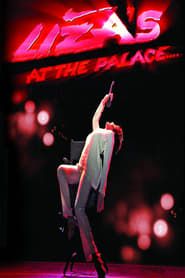 Image Liza Minnelli: Liza's at The Palace