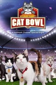 Image Hallmark Channel's 1st Annual Cat Bowl