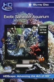 Image Exotic Saltwater Aquarium