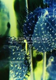 The Tears of a Mudlark series tv
