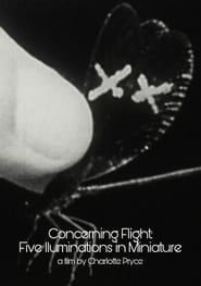 Image Concerning Flight: Five Illuminations In Miniature