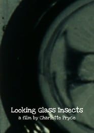 Image Looking Glass Insects