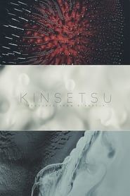 Kinsetsu Textures from Planet-9 series tv