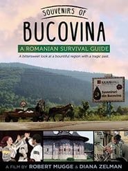 Souvenirs of Bucovina: A Romanian Survival Guide series tv
