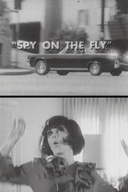 Image Spy on the Fly 1967