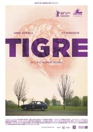 Tigre 2019 streaming