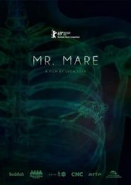 Mr. Mare series tv
