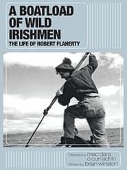 Image A Boatload of Wild Irishmen 2010