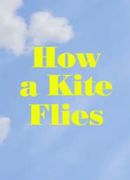 How a Kite Flies series tv