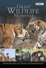 Great Wildlife Moments series tv