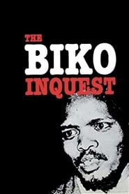The Biko Inquest series tv