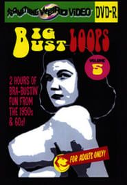 Big Bust Loops Volume 5 (2009)