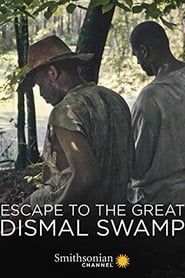 Image Escape to the Great Dismal Swamp