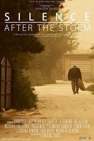 Silence After the Storm series tv