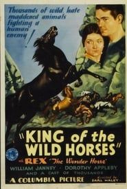 King of the Wild Horses 1933 streaming