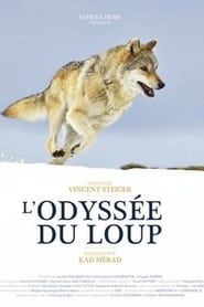 L'odyssée du loup : secrets de tournage series tv