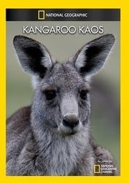 National Geographic: Kangaroo Kaos series tv