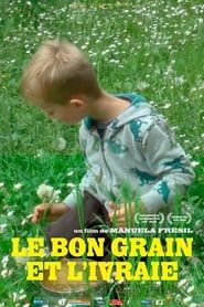 Image Le Bon grain et l'ivraie