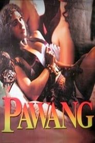 Pawang (1995)