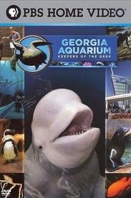 Georgia Aquarium - Keepers of the Deep-hd