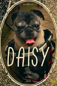 Image Daisy 2016