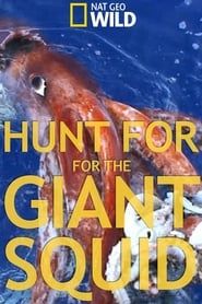 Hunt For The Giant Squid series tv