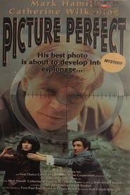Picture Perfect series tv
