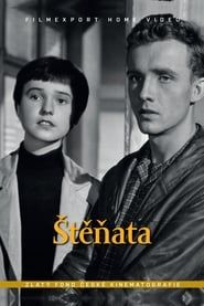 Štěňata (1958)