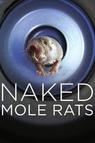 Naked Mole Rats series tv