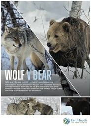 Image Wolf vs Bear