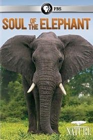 Soul of the Elephant series tv
