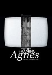 Framing Agnes series tv