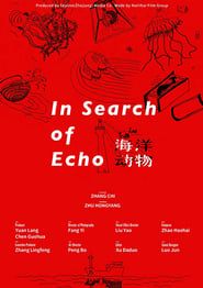 Image In Search Of Echo